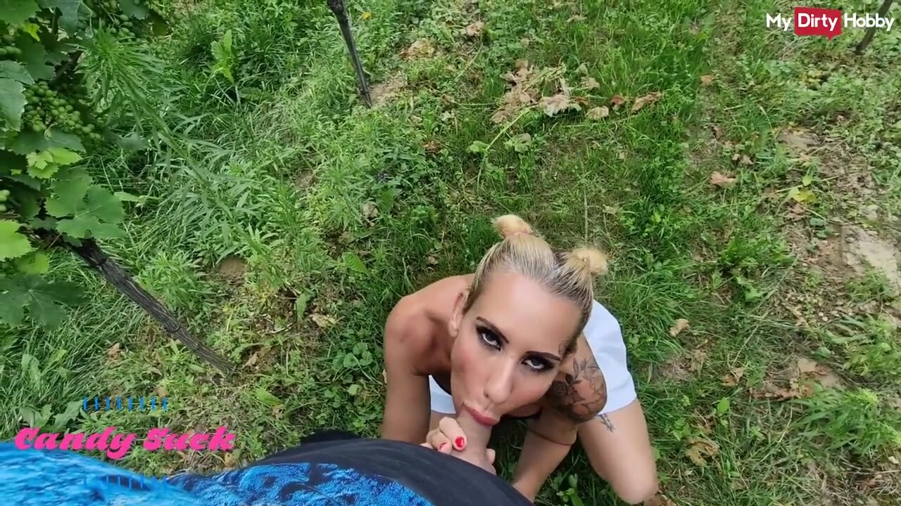 Candy szopogatja és megkúrelja a nagyméretű fazsat a szőlősben